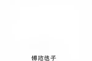 一年前同一天热搜与现今时间线的并置